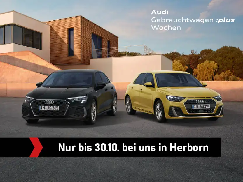 Die Audi GW Plus Wochen